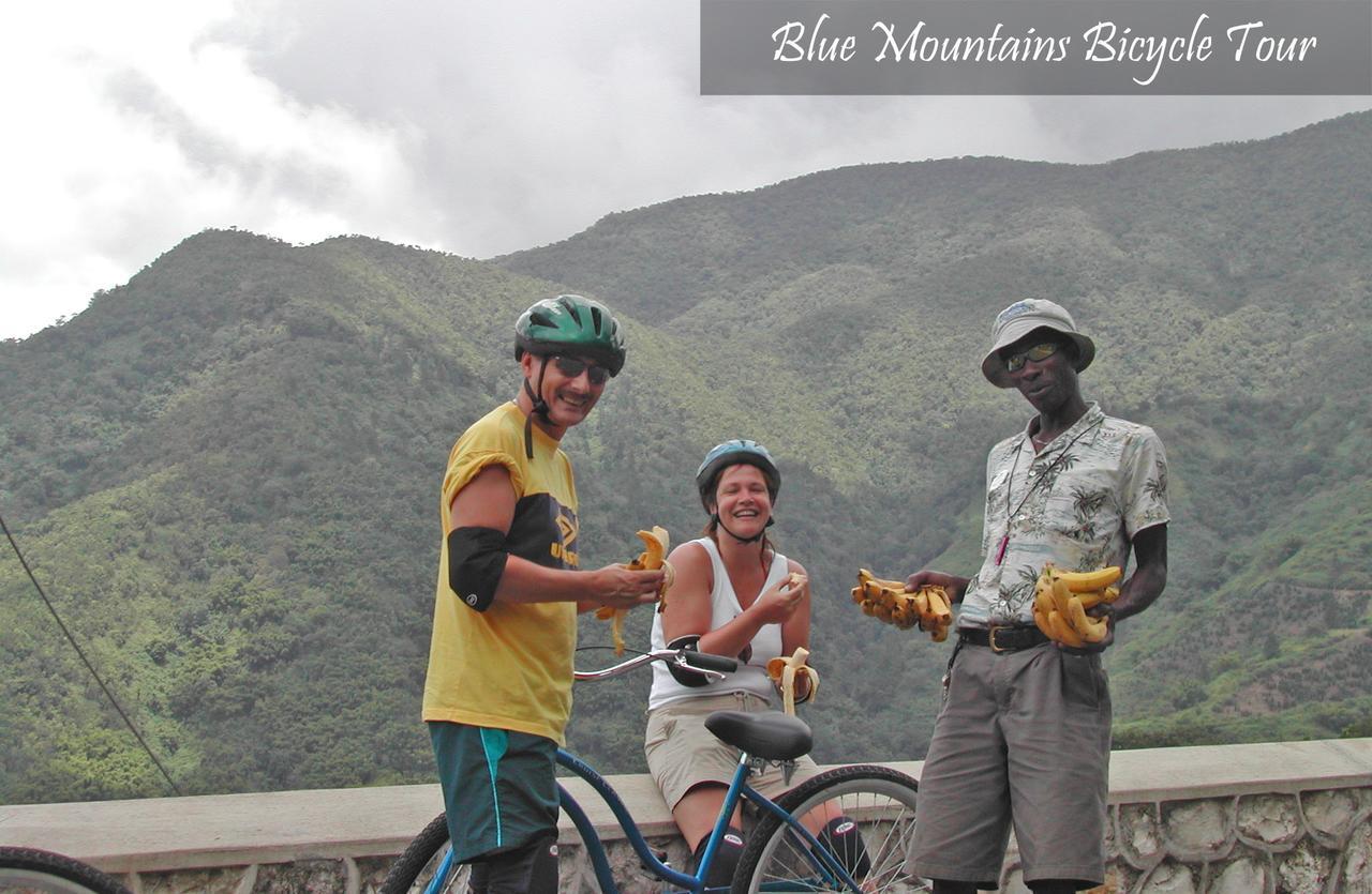 Moon San Villa At The Blue Lagoon بورت أنطونيو المظهر الخارجي الصورة